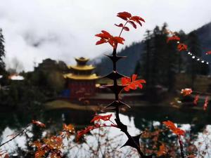 措卡湖