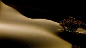西寧到巴丹吉林沙漠、山丹軍馬場旅拍4日，專業攝影師+無人機跟拍+圖片期精修、天境祁連、草原騎馬漫步、沙漠露營、滑沙越野沖浪、星軌拍攝等